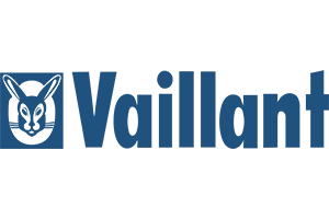 Icone Vaillant